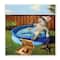 Stupell Industries French Bulldog Drinking Summer Pool Pet Humor, 12" x 12"